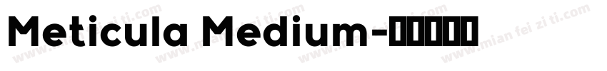 Meticula Medium字体转换
